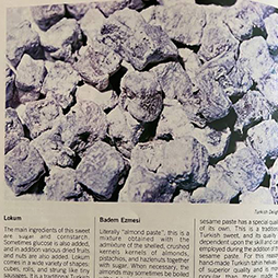 1986-Icoc Sayı 15