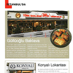 08.2008-Logi Life