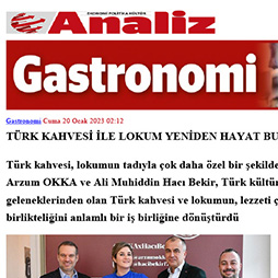 20.01.203-Analiz