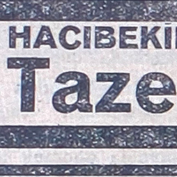14.06.1929-Akşam2